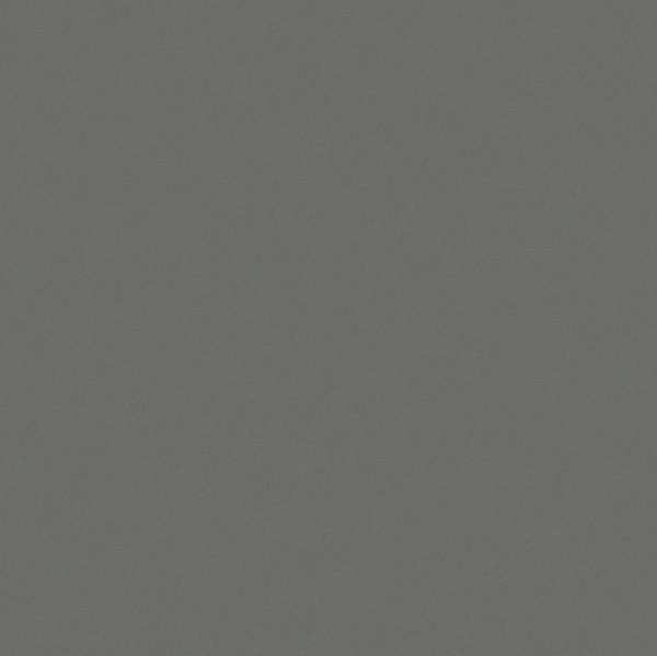 GRIS EXPO