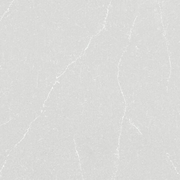 DESERT SILVER